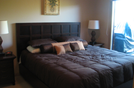 Fully Furnished 2 Bedroom Plus Den Condo at Playa Del Sol