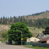 4 Bedroom House Downtown Kelowna